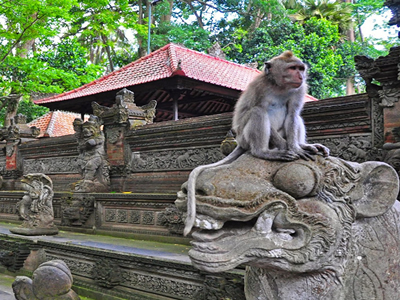 wisata ubud monkey forest